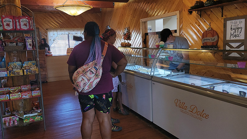 Gallery collage photo